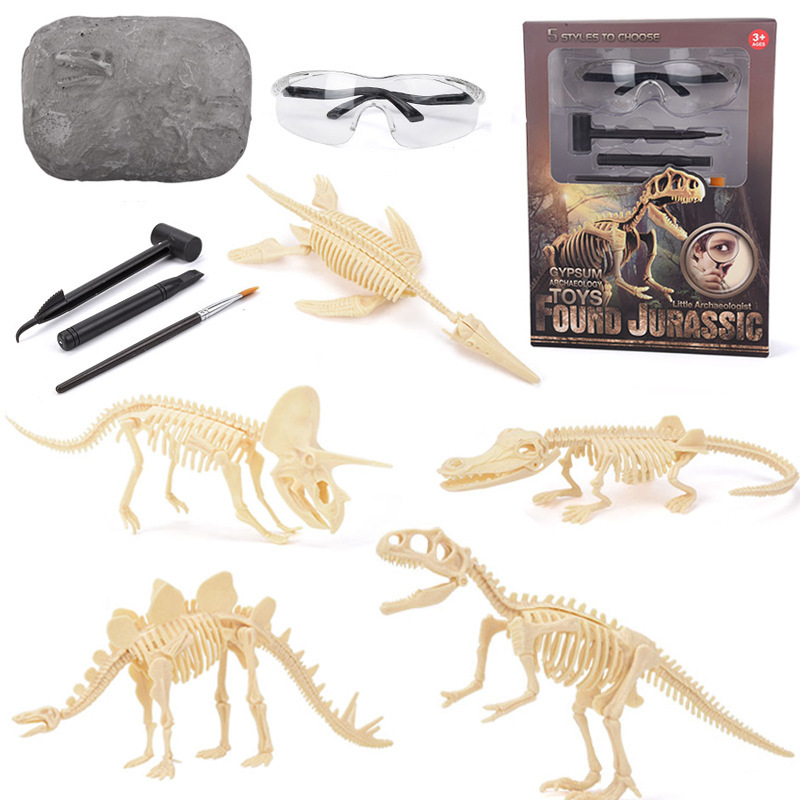 ชุดขุดค้นฟอสซิลไดโนเสาร์ STEM  - Science Kit บทวิจารณ์และราคา